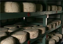 northumberland-cheese-company